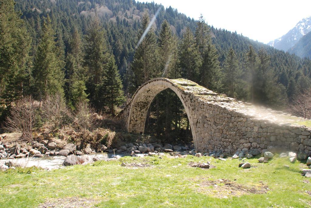 Ayder Umit Hotel Εξωτερικό φωτογραφία